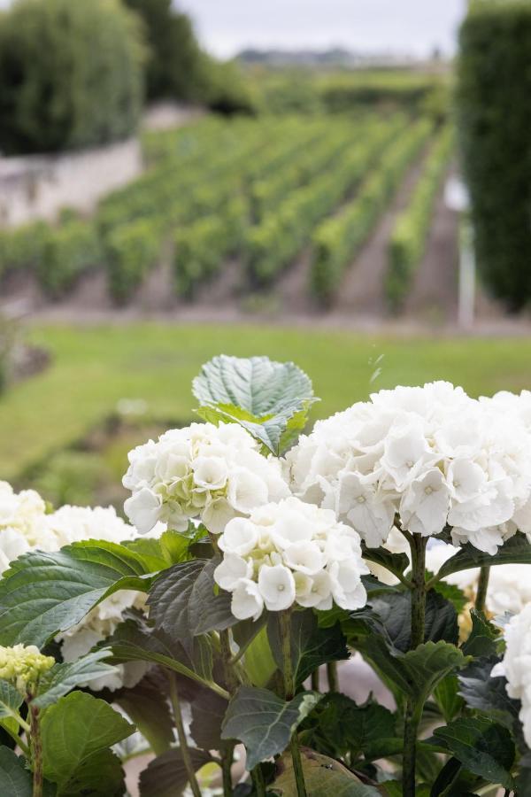 Hotel Porte Brunet Saint-Emilion Luaran gambar